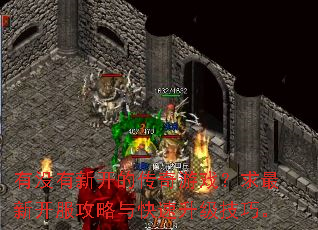 有没有新开的传奇游戏?求最新开服攻略与快速升级技巧。 有没有新开的传奇游戏?求最新开服攻略与快速升级技巧。
