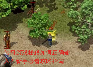 传奇游戏秘籍如何正确输入?新手必看攻略指南 传奇游戏秘籍如何正确输入?新手必看攻略指南