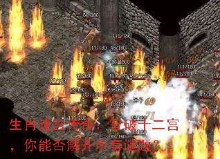 生肖迷宫传奇:智破十二宫,你能否解开所有谜题? 生肖迷宫传奇:智破十二宫,你能否解开所有谜题?