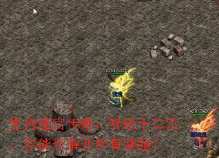 生肖迷宫传奇:智破十二宫,你能否解开所有谜题? 生肖迷宫传奇:智破十二宫,你能否解开所有谜题?
