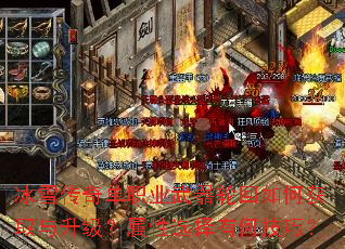 冰雪传奇单职业武器轮回如何获取与升级?属性选择有何技巧? 冰雪传奇单职业武器轮回如何获取与升级?属性选择有何技巧?