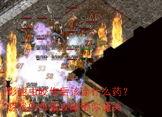 影翅虫咬伤后该涂什么药?游戏内急救攻略带你通关 影翅虫咬伤后该涂什么药?游戏内急救攻略带你通关
