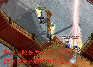 影翅虫咬伤后该涂什么药?游戏内急救攻略带你通关 影翅虫咬伤后该涂什么药?游戏内急救攻略带你通关