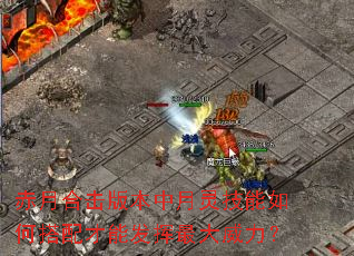 赤月合击版本中月灵技能如何搭配才能发挥最大威力? 赤月合击版本中月灵技能如何搭配才能发挥最大威力?