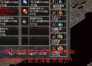 赤月合击版本中月灵技能如何搭配才能发挥最大威力? 赤月合击版本中月灵技能如何搭配才能发挥最大威力?
