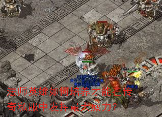 法师英雄如何培养才能在传奇私服中发挥最大威力? 法师英雄如何培养才能在传奇私服中发挥最大威力?