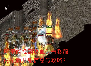 哪里能找到热血传奇私服的最新开服信息与攻略? 哪里能找到热血传奇私服的最新开服信息与攻略?