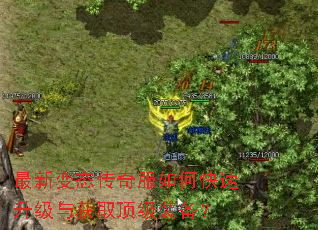 最新变态传奇服如何快速升级与获取顶级装备? 最新变态传奇服如何快速升级与获取顶级装备?