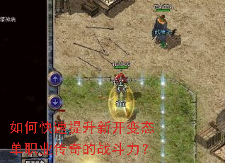 如何快速提升新开变态单职业传奇的战斗力? 如何快速提升新开变态单职业传奇的战斗力?