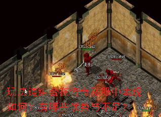 玩法道组合在传奇私服中表现如何?有哪些优势与不足? 玩法道组合在传奇私服中表现如何?有哪些优势与不足?