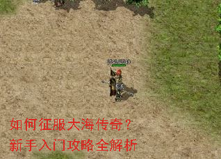 如何征服大海传奇?新手入门攻略全解析 如何征服大海传奇?新手入门攻略全解析