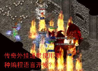 传奇外挂通常使用哪种编程语言开发? 传奇外挂通常使用哪种编程语言开发?