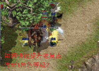 如何快速提升老复古传奇1角色等级? 如何快速提升老复古传奇1角色等级?