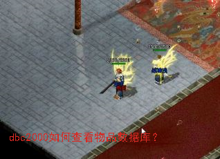 dbc2000如何查看物品数据库? dbc2000如何查看物品数据库?