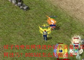 棍子传奇如何快速升级?装备获取有何技巧?BOSS战怎么轻松通关? 棍子传奇如何快速升级?装备获取有何技巧?BOSS战怎么轻松通关?