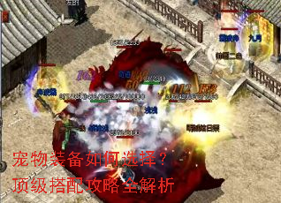 宠物装备如何选择?顶级搭配攻略全解析 宠物装备如何选择?顶级搭配攻略全解析