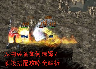 宠物装备如何选择?顶级搭配攻略全解析 宠物装备如何选择?顶级搭配攻略全解析