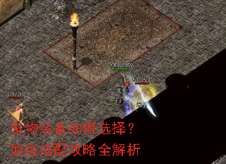 宠物装备如何选择?顶级搭配攻略全解析 宠物装备如何选择?顶级搭配攻略全解析