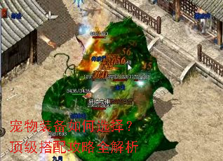 宠物装备如何选择?顶级搭配攻略全解析 宠物装备如何选择?顶级搭配攻略全解析