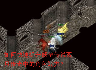 如何快速提升妖皇传说双月传奇中的角色战力? 如何快速提升妖皇传说双月传奇中的角色战力?