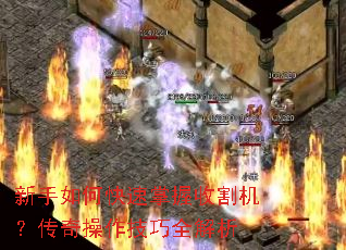 新手如何快速掌握收割机?传奇操作技巧全解析 新手如何快速掌握收割机?传奇操作技巧全解析