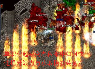 ��ְҵ������̬˽������ο�������ս�����ȡϡ��װ����