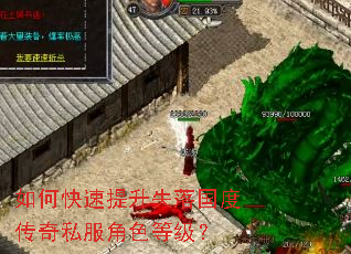 如何快速提升失落国度传奇私服角色等级? 如何快速提升失落国度传奇私服角色等级?