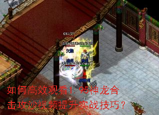 如何高效观看1.95神龙合击攻沙视频提升实战技巧? 如何高效观看1.95神龙合击攻沙视频提升实战技巧?