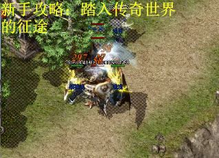新手攻略：踏入传奇世界的征途