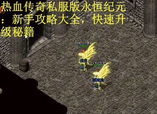 热血传奇私服版永恒纪元：新手攻略大全，快速升级秘籍