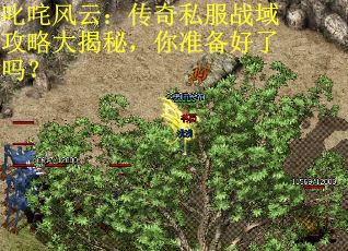 叱咤风云：传奇私服战域攻略大揭秘，你准备好了吗？