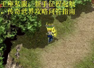 王座私服：新手征程起航，传奇世界攻略问答指南