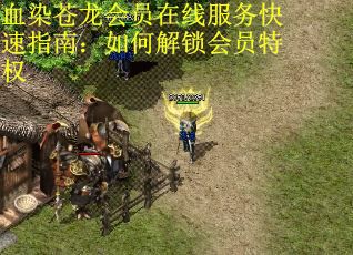 血染苍龙会员在线服务快速指南：如何解锁会员特权