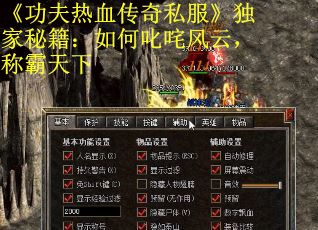 《功夫热血传奇私服》独家秘籍：如何叱咤风云，称霸天下