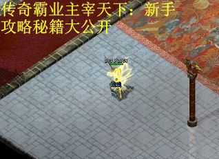 传奇霸业主宰天下：新手攻略秘籍大公开