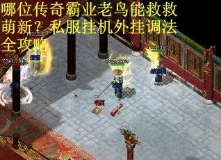 哪位传奇霸业老鸟能救救萌新？私服挂机外挂调法全攻略