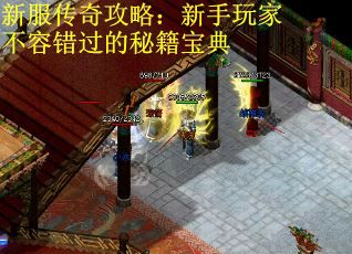 新服传奇攻略：新手玩家不容错过的秘籍宝典