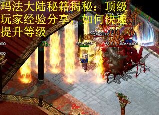 玛法大陆秘籍揭秘：顶级玩家经验分享，如何快速提升等级