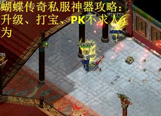 蝴蝶传奇私服神器攻略：升级、打宝、PK不求人为
