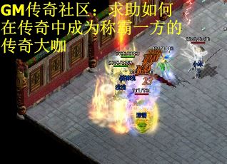 GM传奇社区：求助如何在传奇中成为称霸一方的传奇大咖