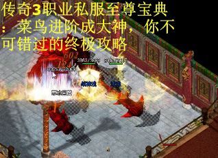 传奇3职业私服至尊宝典：菜鸟进阶成大神，你不可错过的终极攻略