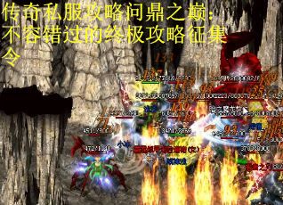 传奇私服攻略问鼎之巅：不容错过的终极攻略征集令