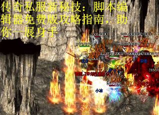 传奇私服新秘技：脚本编辑器免费版攻略指南，助你一展身手