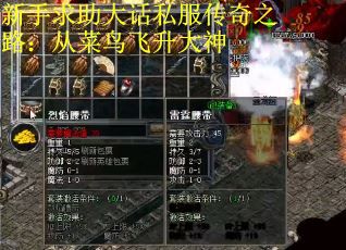 新手求助大话私服传奇之路：从菜鸟飞升大神