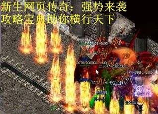 新生网页传奇：强势来袭攻略宝典助你横行天下