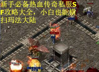 新手必备热血传奇私服SF攻略大全，小白也能横扫玛法大陆