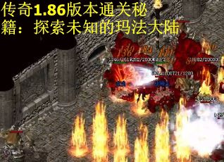 传奇1.86版本通关秘籍：探索未知的玛法大陆