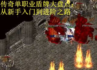 传奇单职业盾牌大盘点：从新手入门到进阶之路