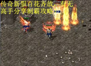 传奇新服百花齐放，有无高手分享制霸攻略？
