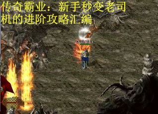 传奇霸业：新手秒变老司机的进阶攻略汇编